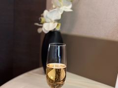 -新加坡航空公司(ION)