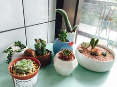 -蜜蜂小象·榴莲千层蛋糕(时代汇11栋店)