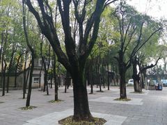 -西安关中民俗艺术博物院