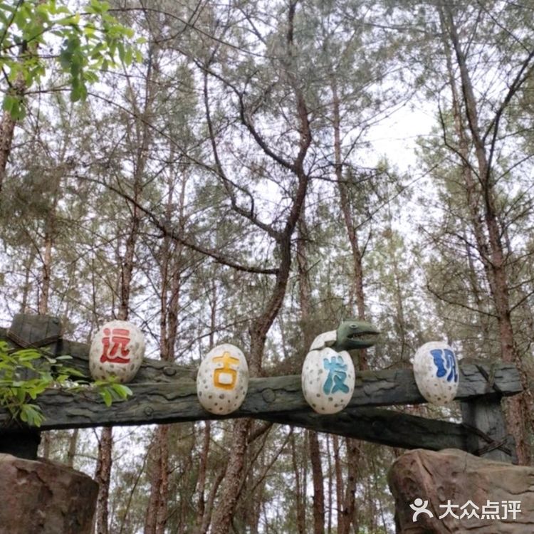 极好的小朋友放电地!