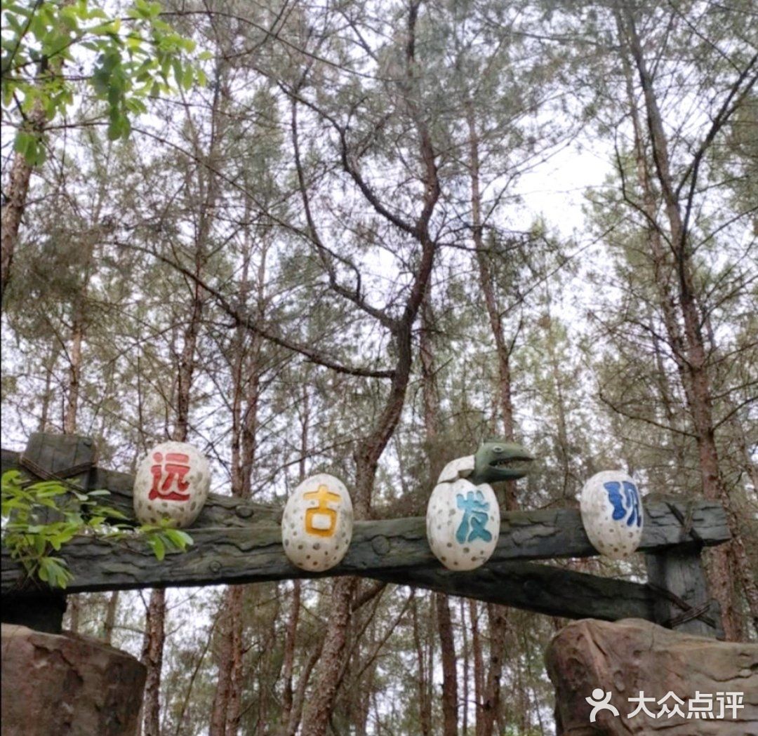 极好的小朋友放电地！