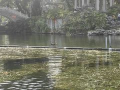 -荔湾湖公园
