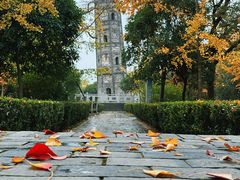 -上海佘山国家森林公园天马山园