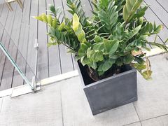 -UNI UNI(环亚凯瑟琳店)