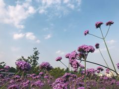 -杭州城北体育公园