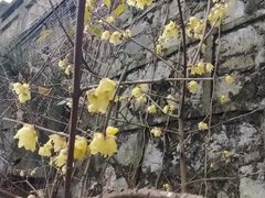 -遵义会议纪念馆