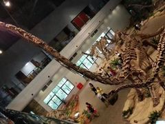 -自贡恐龙博物馆