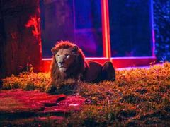 -杭州野生动物世界