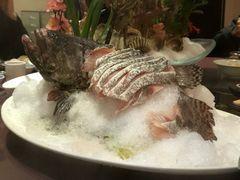 石斑-厦门园林植物园-植物园滴水山房
