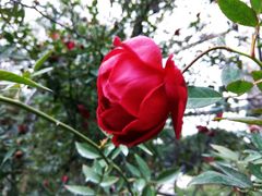 -人民公园(罗湖区)