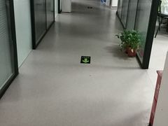 -锐思教育(英协路校区)