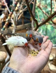 -Zoolung Zoolung动物主题公园(海信广场店)