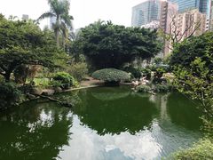 -九龙公园