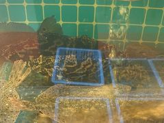 -小二郎私房菜(鼓浪屿店)