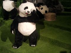 -成都泰迪熊博物馆