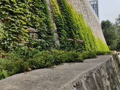 -永定河休闲森林公园