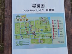 -黄海国家森林公园