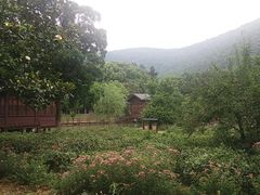 -宝岩生态观光园