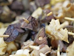 -正宗梧州牛肠酸