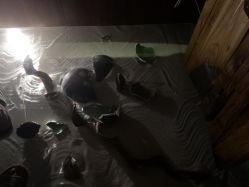 -琦品高端美容SPA会所