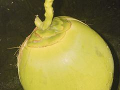 -白沙门生态公园