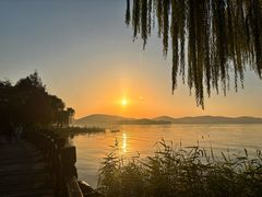-长广溪湿地公园