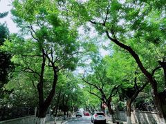 -八大关景区