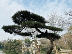 -新荣记(西溪湿地店)