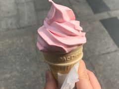 樱花-麦当劳(天兴罗斯福店)