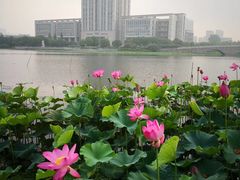 -江南大学(蠡湖校区)