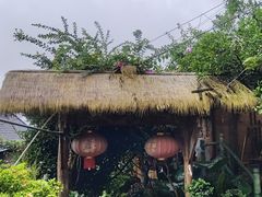 -偏岩古镇