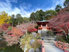-醍醐寺