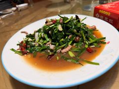 -8号蒸饺精品炖鸽子(康特商街店)