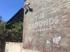 -The Grounds of Alexandria