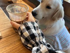 -溯洄咖啡VORTEX COFFEE