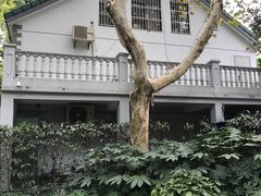 -徐家汇源景区-衡山公园