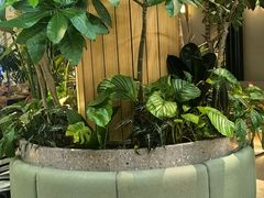 -gaga(深圳京基KKMALL店)