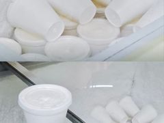 -洪馨椰子