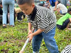 -宾果蒙特梭利托育儿童之家幼儿园(爱琴海店)