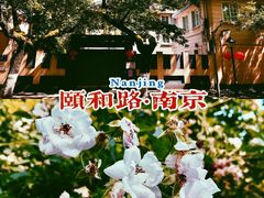 -颐和路民国时期公馆-风貌区