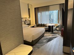 -新加坡乌节希尔顿酒店 (SG Clean)