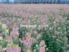 -中国天府农业博览园