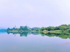 -梅龙湖