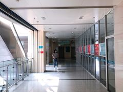 -山东大学齐鲁医院(青岛院区)