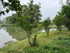 -两河城市森林公园