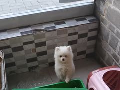 -小赖鱼馆
