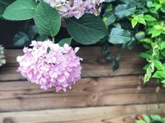 景观位-G+KITCHEN(龙湖狮山天街店)