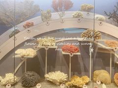 -中国湿地博物馆