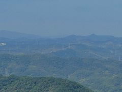 -黄埔油麻山森林公园