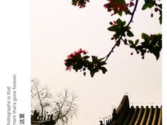 -恭王府博物馆